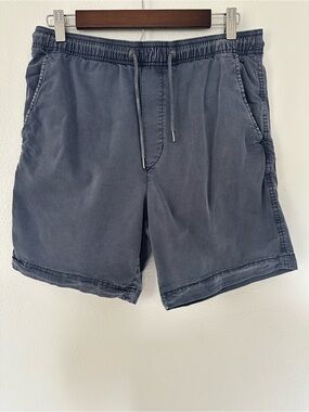 American Eagle Outfitters Slate Blue Drawstring Hybrid Shorts